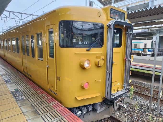 鉄道フォト・写真：JR西日本 国鉄115系電車 クハ115-1219 岡山駅 鉄道フォト・写真 by 長モト115さん - 撮影日 2024/05/12 12:23