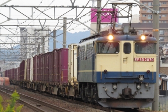 JR貨物 国鉄EF65形電気機関車 EF65 2070 鉄道フォト・写真 by 結電区さん 近江八幡駅 (JR)：2023年10月14日12時ごろ