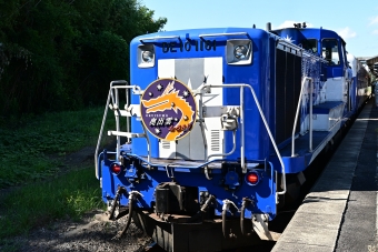 JR西日本 奥出雲おろち号 DE10 1161 鉄道フォト・写真 by 勝手きままさん ：2023年08月13日09時ごろ