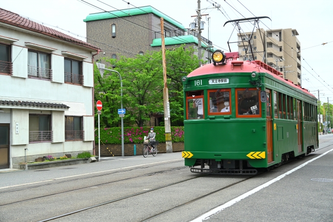 鉄道フォト・写真：阪堺電車  161 北畠停留場 鉄道フォト・写真 by 勝手きままさん - 撮影日 2024/04/29 10:21