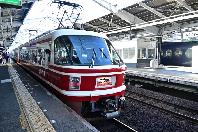 鉄道フォト・写真：南海電鉄  こうや 新今宮駅 (南海) 鉄道フォト・写真 by 勝手きままさん - 撮影日 2023/09/18 08:03