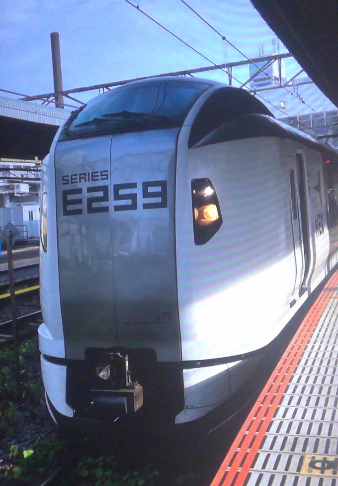 鉄道フォト・写真：JR東日本E259系電車 大船駅 (JR) 鉄道フォト・写真 by 通勤快速小田原行きさん - 撮影日 2023/06/29 17:06