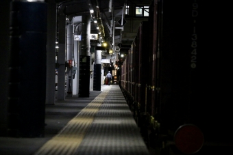 JR貨物 鉄道フォト・写真 by あむはんさん 長野駅 (JR)：2021年11月29日19時ごろ