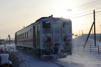 キハ54 501 鉄道フォト・写真
