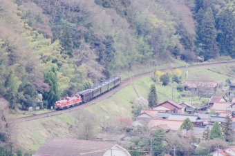 JR西日本 オハ35形 DLやまぐち号(快速) オハ35-4001 鉄道フォト・写真 by StArtrainさん ：2023年03月21日15時ごろ