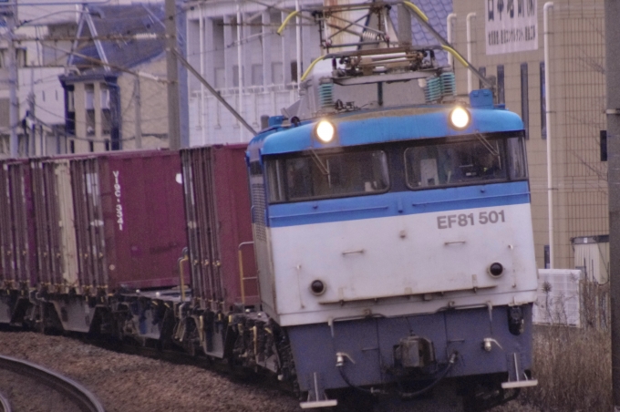 JR貨物 国鉄EF81形電気機関車 EF81-501 鉄道フォト・写真 by StArtrainさん ：2024年03月03日09時ごろ