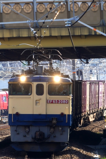 JR貨物 国鉄EF65形電気機関車 EF65-2080 鉄道フォト・写真 by suzaku5219さん 金山駅 (愛知県|JR)：2023年11月03日11時ごろ