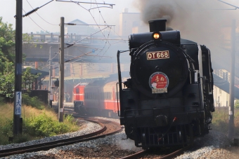 台湾鉄路管理局 国鉄D51形蒸気機関車 DT668 鉄道フォト・写真 by RMQさん ：2022年11月12日12時ごろ