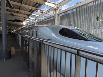 JR九州 N700系新幹線電車 781-8004 鉄道フォト・写真 by ちますさんさん 熊本駅：2023年10月15日12時ごろ