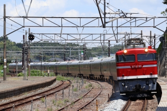 JR東日本 国鉄EF81形電気機関車 カシオペア(特急) 鉄道フォト・写真 by 東北ラインさん 松島駅：2024年06月29日11時ごろ