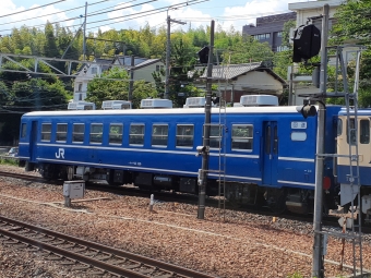 JR西日本 国鉄12系客車 スハフ12形 スハフ12 129 鉄道フォト・写真 by トリテツノワグマさん 山崎駅 (京都府)：2023年07月26日14時ごろ