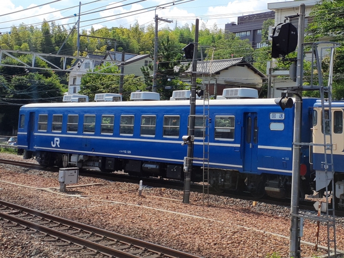 鉄道フォト・写真：JR西日本 国鉄12系客車 スハフ12 129 山崎駅 (京都府) 鉄道フォト・写真 by トリテツノワグマさん - 撮影日 2023/07/26 14:13