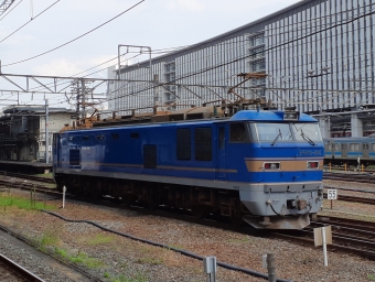 JR貨物 EF510形 EF510-505 鉄道フォト・写真 by トリテツノワグマさん 京都駅 (JR)：2023年07月18日14時ごろ