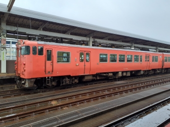 JR西日本 キハ47形 キハ47 146 鉄道フォト・写真 by トリテツノワグマさん 鳥取駅：2022年12月26日12時ごろ