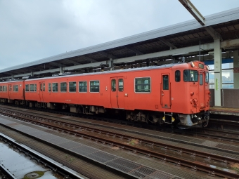 JR西日本 キハ47形 キハ47 1037 鉄道フォト・写真 by トリテツノワグマさん 鳥取駅：2022年12月26日12時ごろ