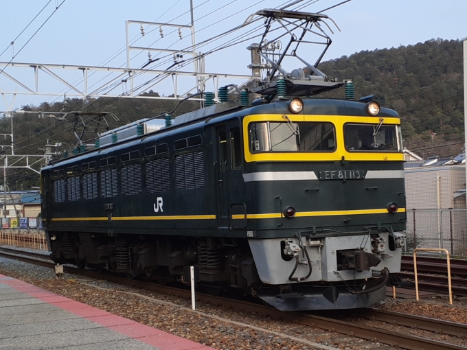 JR西日本 国鉄EF81形電気機関車 EF81 113 鉄道フォト・写真 by トリテツノワグマさん 山科駅 (JR)：2023年03月10日07時ごろ