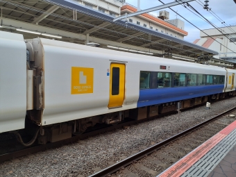モハE257-1516 鉄道フォト・写真