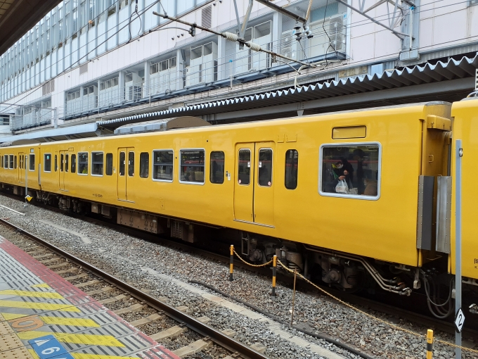 113系 ロクハン】(Zゲージ) 113系2000番台（湘南色）2019年4月再生産