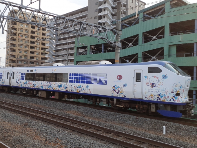 鉄道フォト・写真：JR西日本281系電車 はるか クハ281-1 南草津駅 鉄道フォト・写真 by トリテツノワグマさん - 撮影日 2023/02/03 08:00