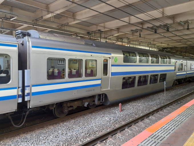 鉄道フォト・写真：JR東日本E217系電車 サロE216-35 津田沼駅 鉄道フォト・写真 by トリテツノワグマさん - 撮影日 2023/01/02 15:08