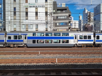 JR東日本 サロE530形 サロE530-14 鉄道フォト・写真 by トリテツノワグマさん 鶯谷駅：2023年01月02日13時ごろ