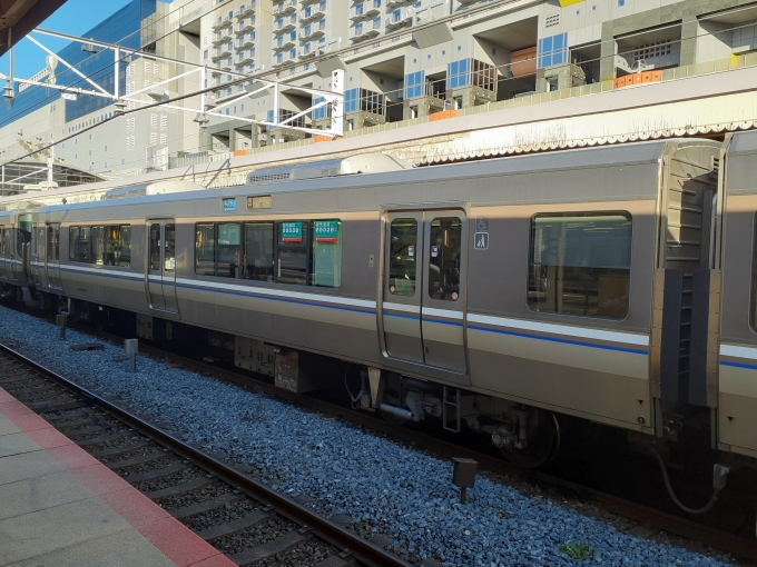 鉄道フォト・写真：JR西日本223系電車 クハ222-2029 京都駅 (JR) 鉄道フォト・写真 by トリテツノワグマさん - 撮影日 2023/11/21 08:43