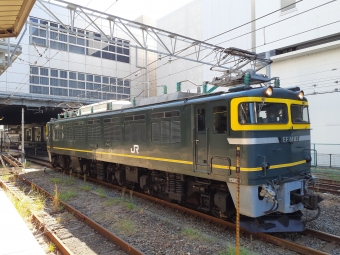 JR西日本 国鉄EF81形電気機関車 EF81 113 鉄道フォト・写真 by トリテツノワグマさん 京都駅 (JR)：2022年10月02日10時ごろ