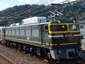 JR西日本 国鉄EF81形電気機関車 EF81 113 鉄道フォト・写真 by トリテツノワグマさん 山科駅 (JR)：2022年10月02日14時ごろ