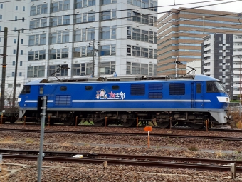 JR貨物 EF210形 EF210-119 鉄道フォト・写真 by トリテツノワグマさん 新大阪駅 (JR)：2023年03月23日12時ごろ