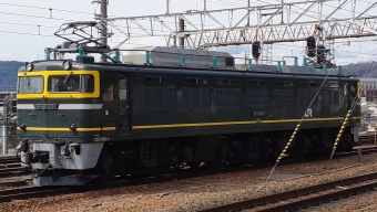 JR西日本 国鉄EF81形電気機関車 EF81 113 鉄道フォト・写真 by トリテツノワグマさん 山科駅 (JR)：2022年03月21日10時ごろ