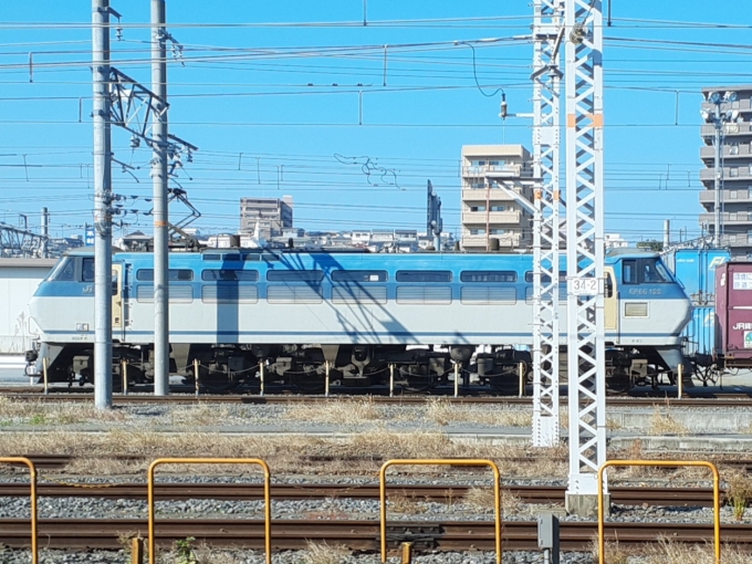 JR貨物 国鉄EF66形電気機関車 EF66 122 鉄道フォト・写真 by トリテツノワグマさん 岸辺駅：2022年11月12日12時ごろ