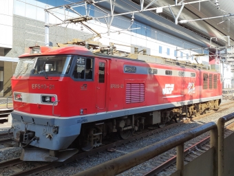 JR貨物 EF510形 EF510-21 鉄道フォト・写真 by トリテツノワグマさん 京都駅 (JR)：2024年01月19日14時ごろ