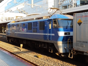 JR貨物 EF210形 EF210-16 鉄道フォト・写真 by トリテツノワグマさん 京都駅 (JR)：2022年09月11日06時ごろ