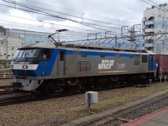 JR貨物 EF210形 EF210-133 鉄道フォト・写真 by トリテツノワグマさん 京都駅 (JR)：2022年06月15日16時ごろ