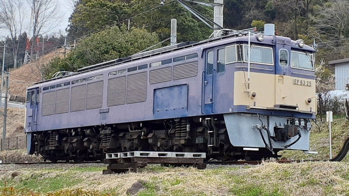 JR東日本 国鉄EF63形電気機関車 EF63 25 鉄道フォト・写真 by トリテツノワグマさん 横川駅 (群馬県)：2022年03月26日09時ごろ