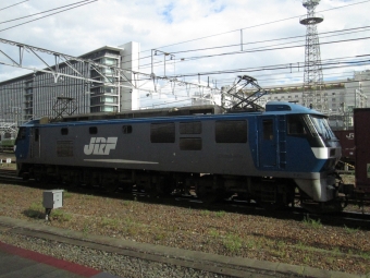 JR貨物 EF210形 EF210-901 鉄道フォト・写真 by トリテツノワグマさん 京都駅 (JR)：2021年08月06日16時ごろ