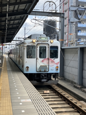 近畿日本鉄道 近鉄2400系電車 お魚図鑑 2423 鉄道フォト・写真 by 1700さん 近鉄八田駅：2023年05月21日11時ごろ