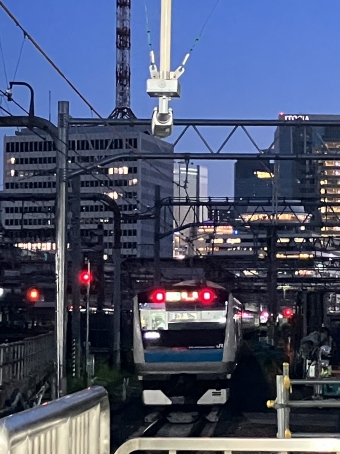 JR東日本E233系電車 鉄道フォト・写真 by 1700さん 東京駅 (JR)：2023年09月17日18時ごろ