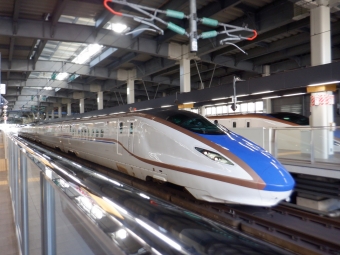 JR東日本 E7・W7系新幹線電車 鉄道フォト・写真 by 1700さん 金沢駅 (JR)：2023年10月25日15時ごろ