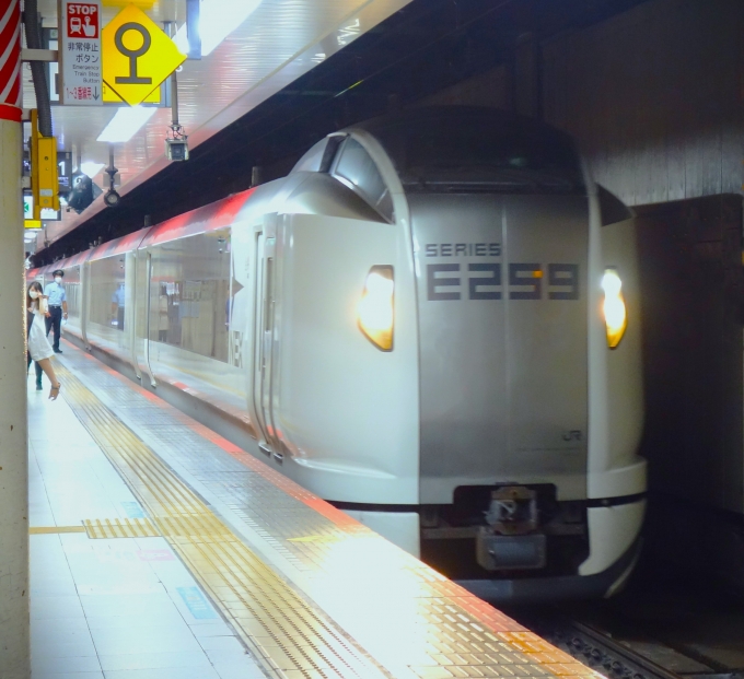 JR東日本E259系電車 成田エクスプレス(特急) 鉄道フォト・写真 by 鉄道猫さん 東京駅 (JR)：2023年07月21日09時ごろ