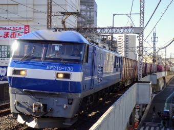 JR貨物 EF210形 EF210-130 鉄道フォト・写真 by 鉄道猫さん 南浦和駅：2024年01月27日09時ごろ