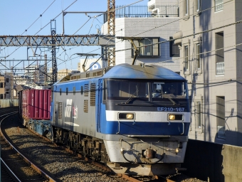 JR貨物 EF210形 EF210-167 鉄道フォト・写真 by 鉄道猫さん 南浦和駅：2024年01月27日08時ごろ