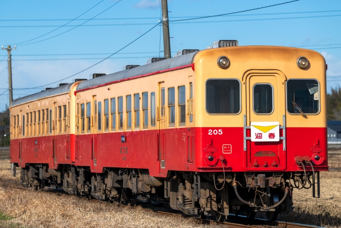 2023新入荷 小湊鉄道のあけぼの 当店おすすめ品 小湊鉄道のあけぼの