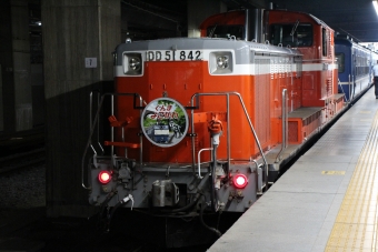 JR東日本 SLぐんま よこかわ(快速) 鉄道フォト・写真 by ミンチさん 高崎駅 (JR)：2023年10月01日15時ごろ