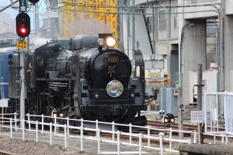 JR東日本 SLぐんま よこかわ(快速) 鉄道フォト・写真 by ミンチさん 高崎駅 (JR)：2023年10月01日15時ごろ