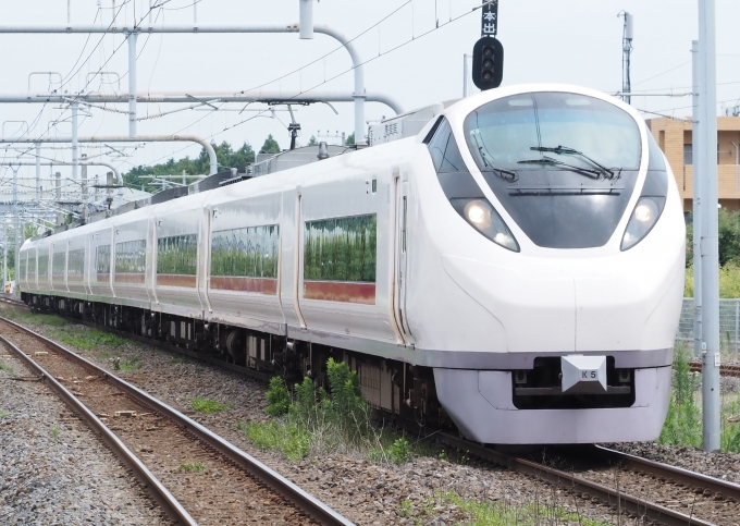 鉄道フォト・写真：JR東日本E657系電車 クハE656-5 ひたち野うしく駅 鉄道フォト・写真 by カムイさん - 撮影日 2024/07/19 10:31