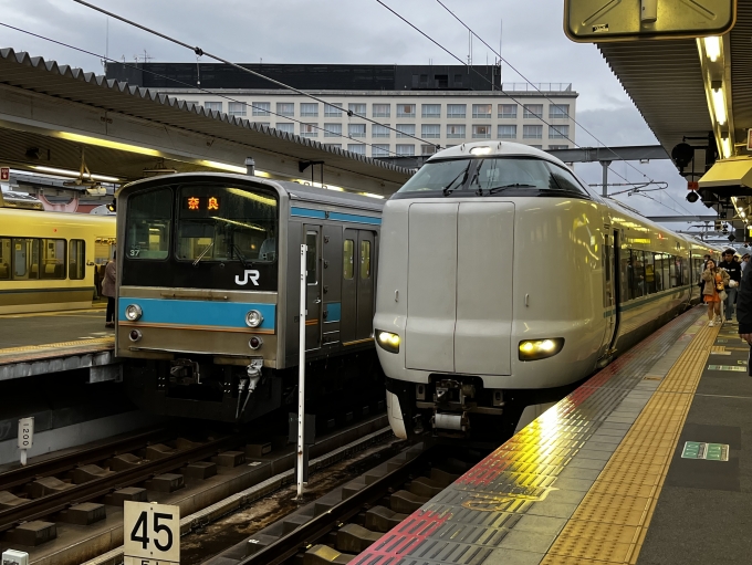 鉄道フォト・写真：JR西日本 国鉄205系電車 クハ205-37 奈良駅 鉄道フォト・写真 by 520H-K-t-m-ch_さん - 撮影日 2023/10/08 17:10