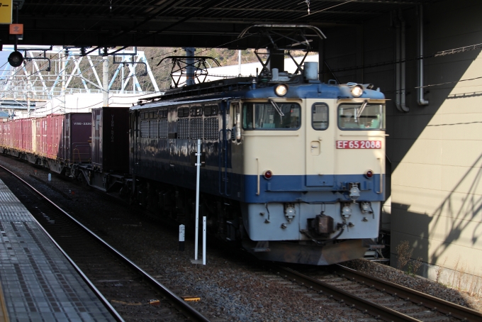 鉄道フォト・写真：JR貨物 国鉄EF65形電気機関車 EF 65 2088 米原駅 (JR) 鉄道フォト・写真 by 520H-K-t-m-ch_さん - 撮影日 2024/02/10 15:11