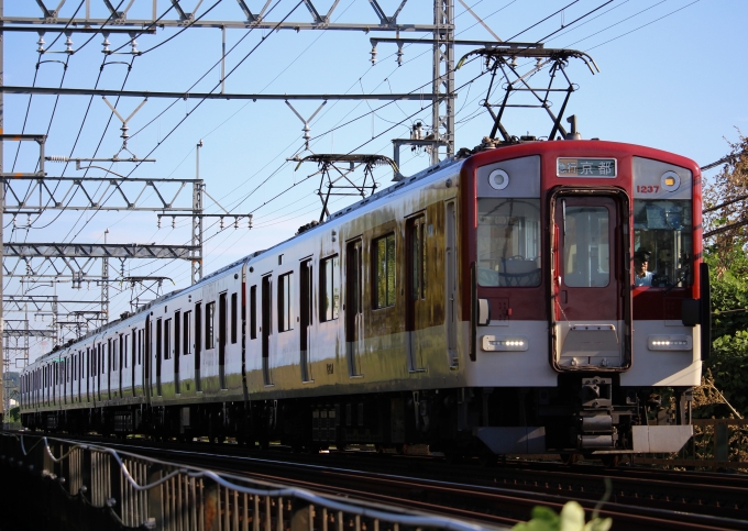 鉄道フォト・写真：近畿日本鉄道 近鉄1233系電車 1237 富野荘駅 鉄道フォト・写真 by 520H-K-t-m-ch_さん - 撮影日 2024/07/21 16:58