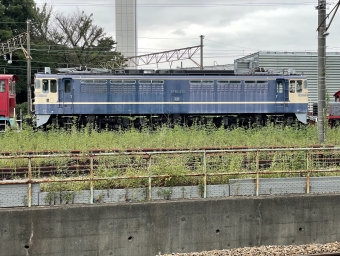 保存車両 国鉄EF65形電気機関車 EF65 535 鉄道フォト・写真 by tristar94さん 北府中駅：2022年09月15日16時ごろ